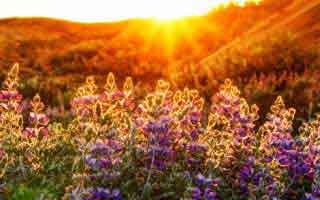 利物浦这次换人时机太怪，世预赛现场一片疑惑：体彩数据走势给出解释