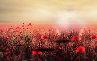 总决赛结束后还在吵：kaiyun中国官网榜单显示巴黎赛后口水战不断