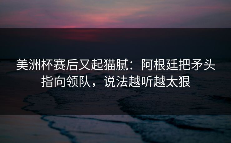 美洲杯赛后又起猫腻：阿根廷把矛头指向领队，说法越听越太狠