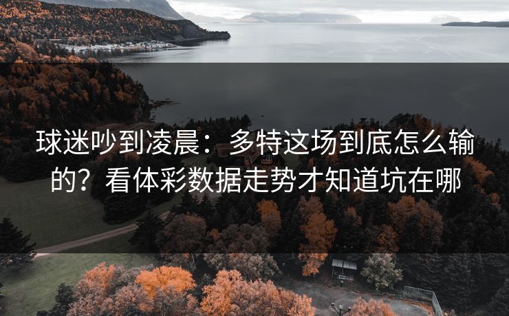 球迷吵到凌晨：多特这场到底怎么输的？看体彩数据走势才知道坑在哪
